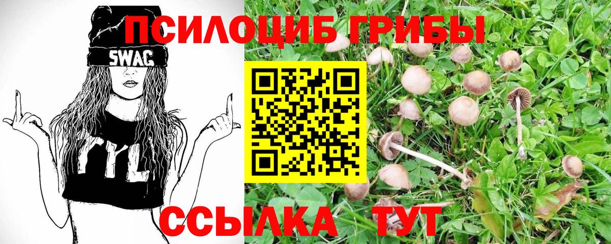 Псилоцибиновые грибы GOLDEN TEACHER Заринск