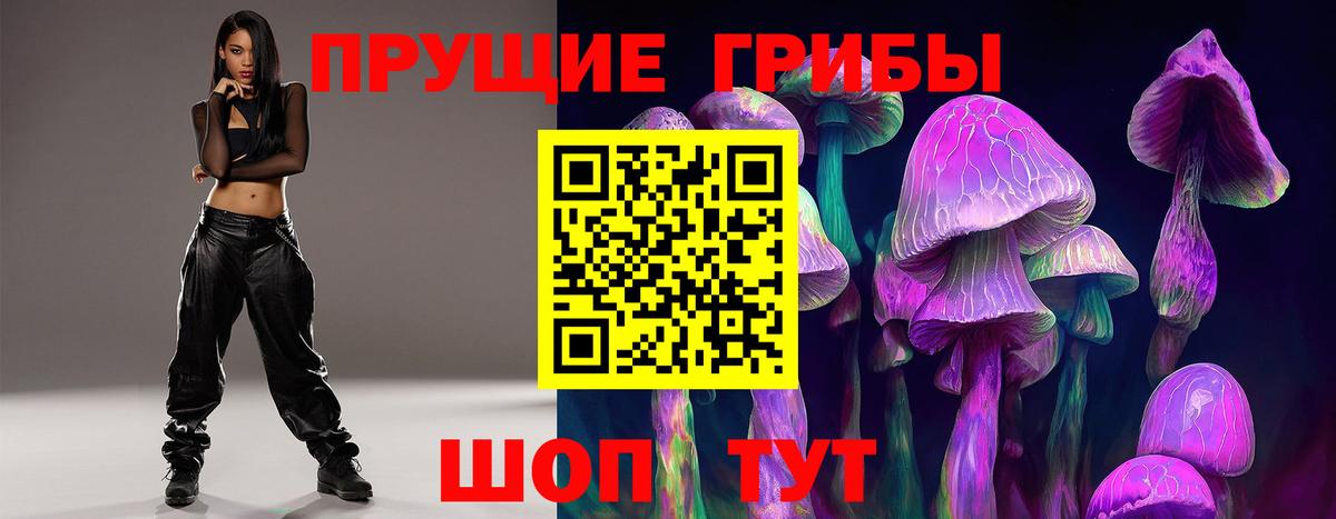Псилоцибиновые грибы GOLDEN TEACHER  Галлюциногенные грибы прущие грибы  где продают   Заринск  Вход с VPN 